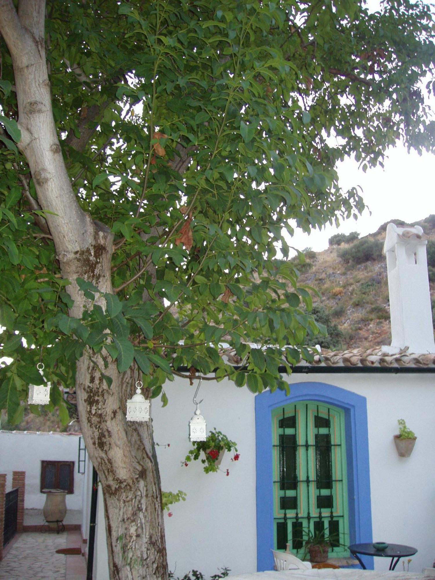 Penzion El Rincon De Carmen Rute Exteriér fotografie
